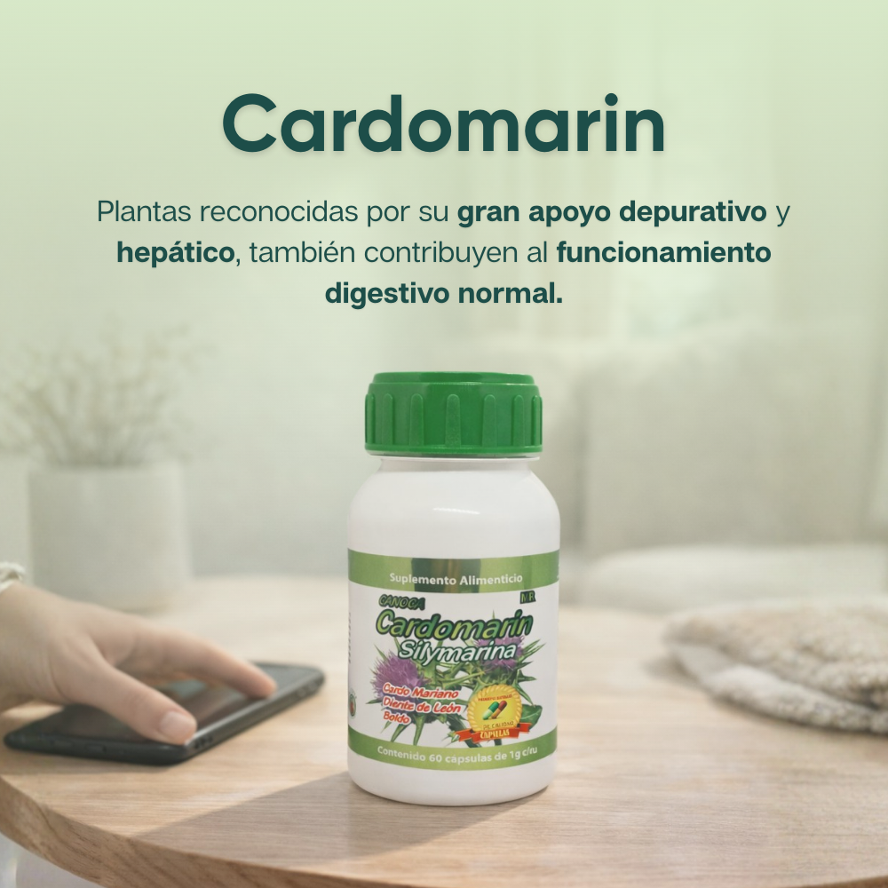 Cardomarin - Cardo Mariano, Boldo, Diente de León, Alcachofa, Prodigiosa - 60 cápsulas de 1000 mg