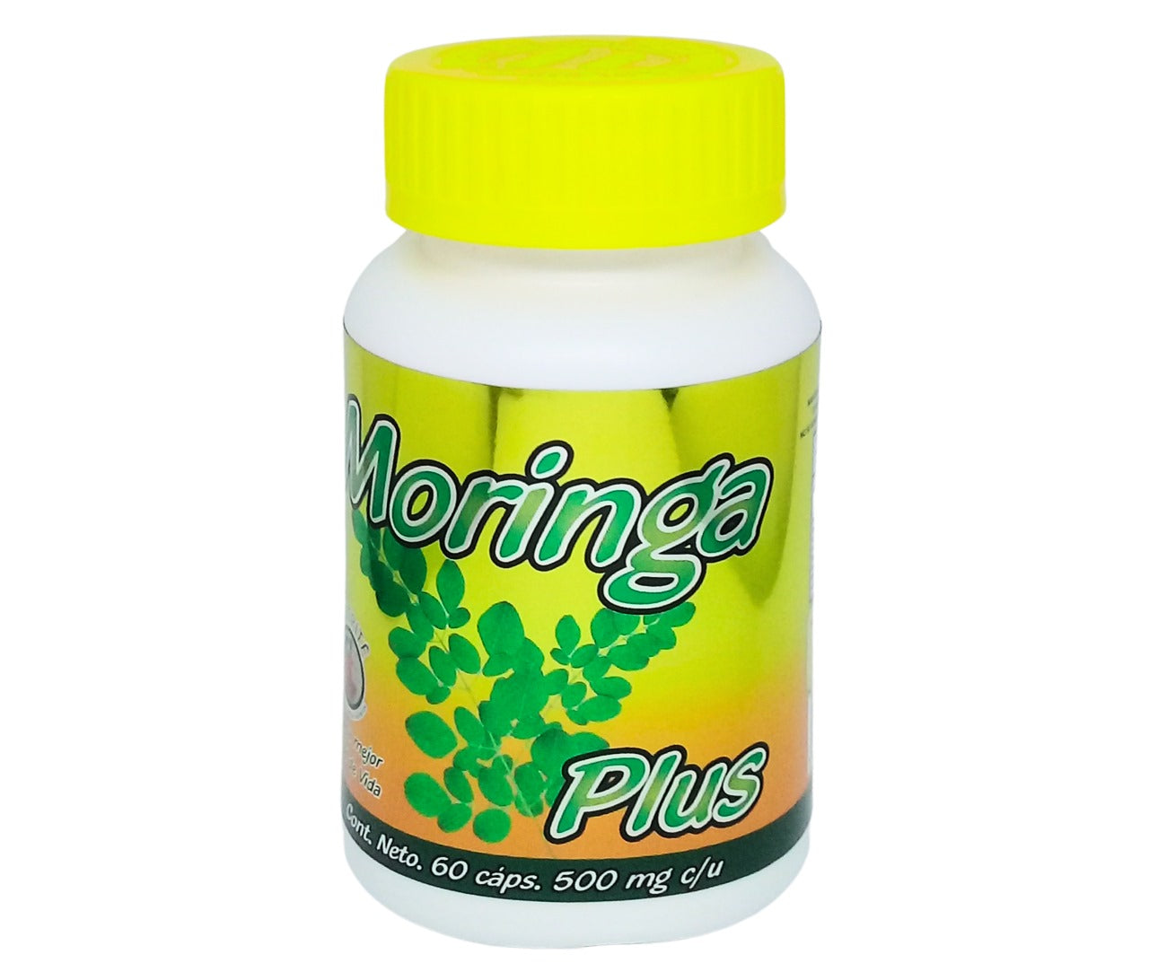 Moringa - 60 Cápsulas de 500 mg